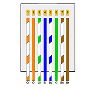 RJ45 stekker CAT5/6 (100 stk)